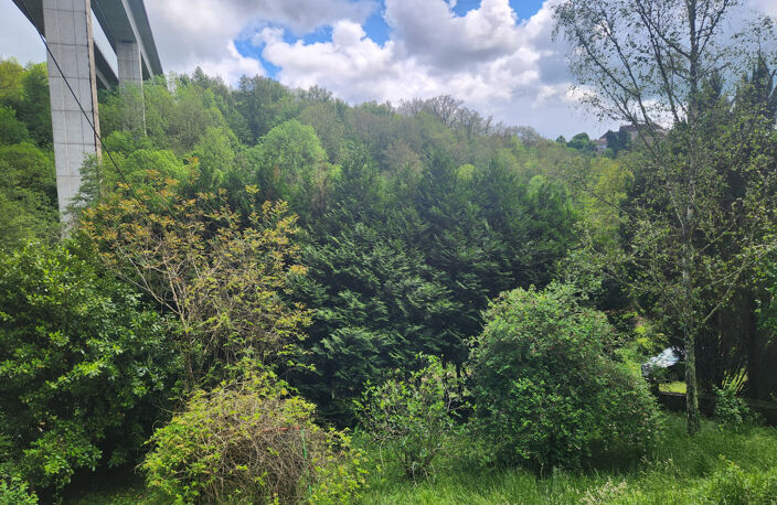 Maison de campagne — photo 2