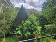 Maison de campagne — photo 4