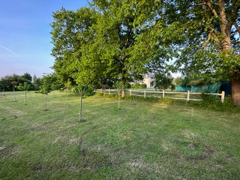 Angers Terrain constructible . — photo 1