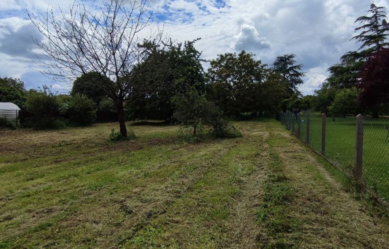 terrain  pièces 1500 m2 à vendre à Loudun (86200)