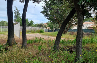 vente terrain 160 000 € à proximité de Saturargues (34400)