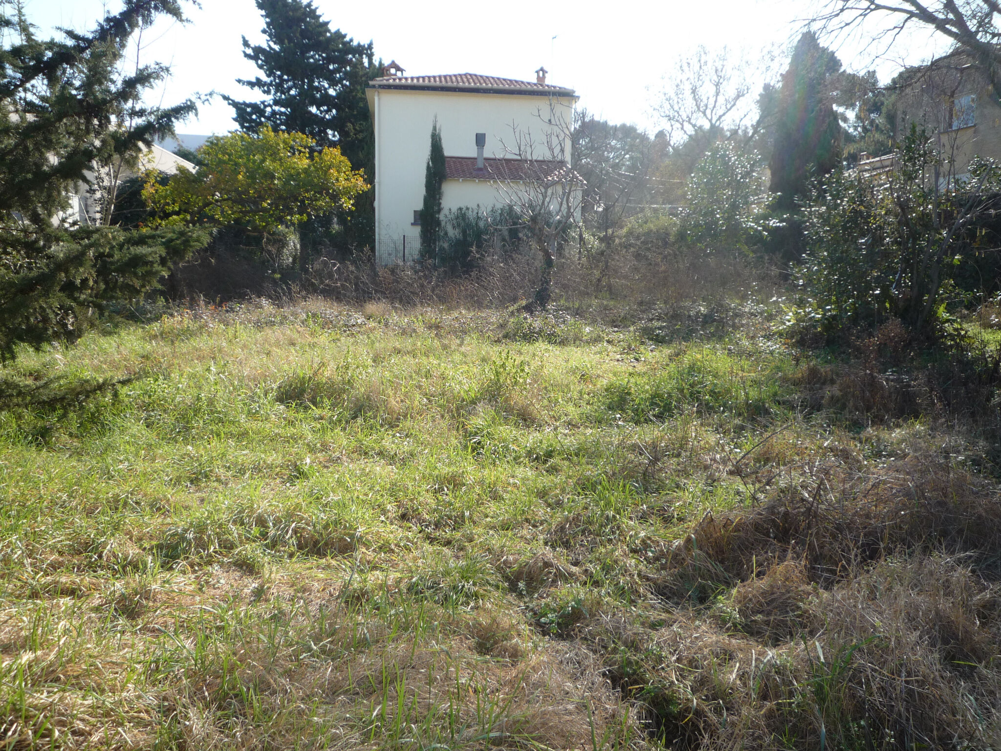 Terrain  à vendre Montpellier 34000