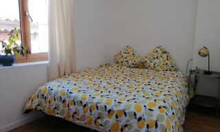 Photo N° 6