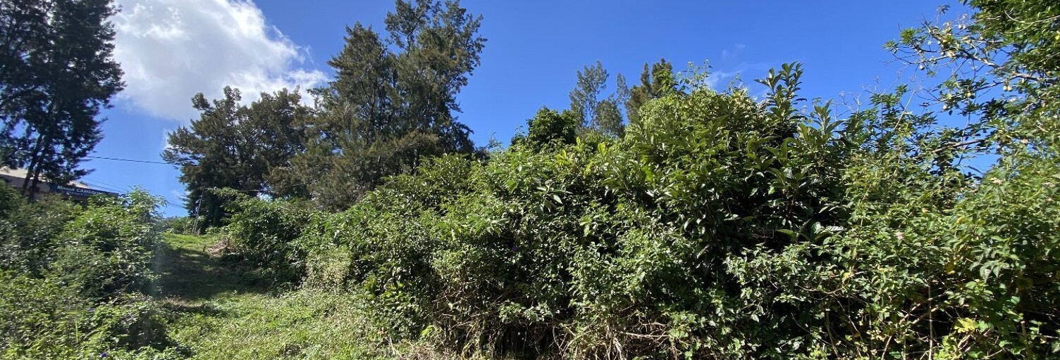 Terrain  830 m² à vendre à Le Tampon (97430)