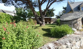 Photo N° 6