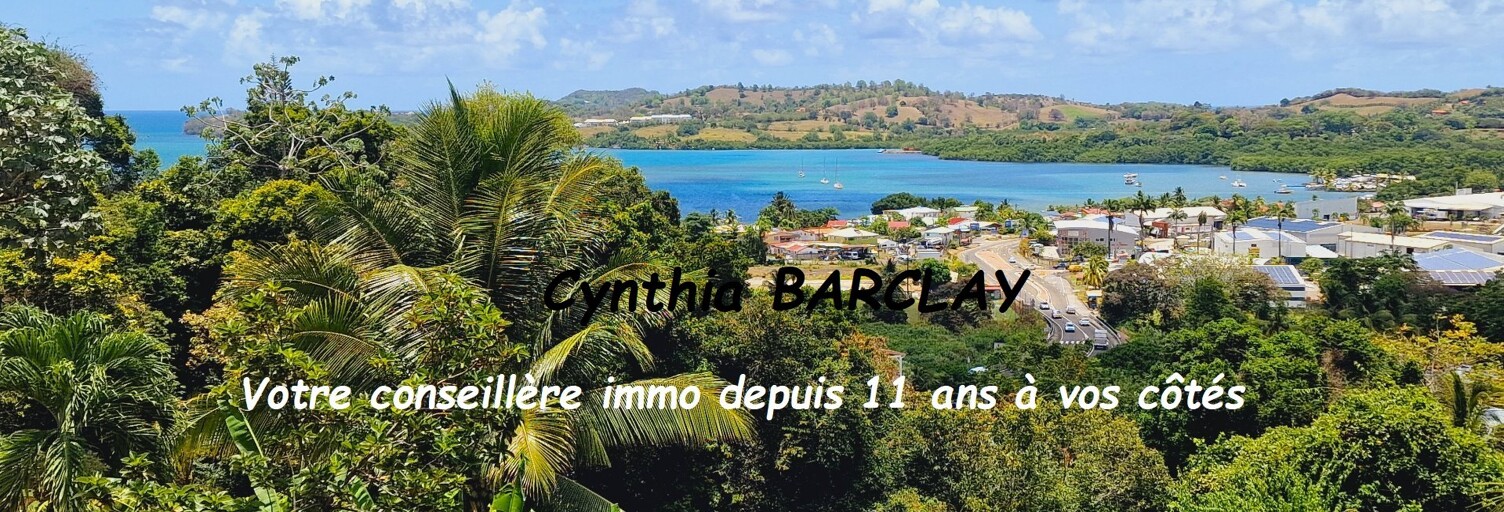 Maison 8 Pièces 186 m² à vendre à Le Robert (97231)