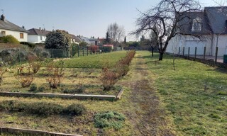 Photo N° 4