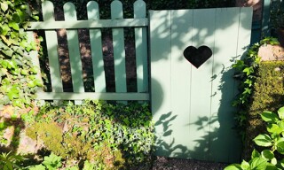 Photo N° 3