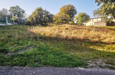 vente terrain 12 650 € à proximité de Fougerolles-Saint-Valbert (70220)