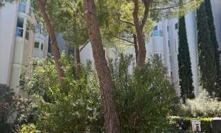 Appartement 5 Pièces 100 m² à vendre à Montpellier (34000)