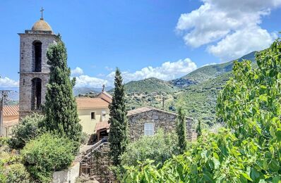 vente maison 375 000 € à proximité de Cuttoli-Corticchiato (20167)