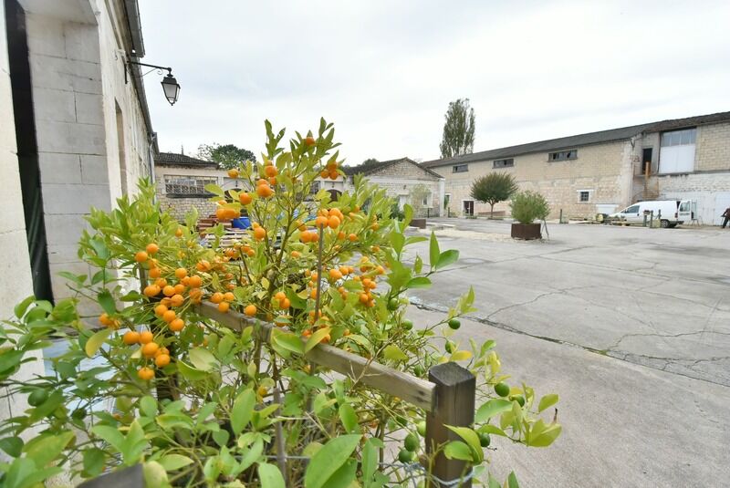 Immeuble  à vendre Angoulême 16000