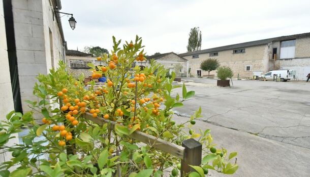 Immeuble  à vendre Angoulême 16000