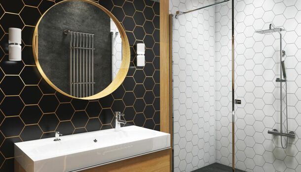 Appartement 3 pièces  à vendre Meyzieu 69330