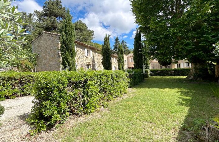 Domaine viticole, oléicole et 3 gites au pied du Mont-Ventoux — photo 4