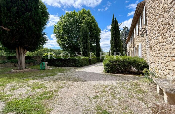 Domaine viticole, oléicole et 3 gites au pied du Mont-Ventoux — photo 5