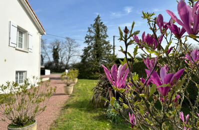 vente maison 249 000 € à proximité de Château-Guibert (85320)