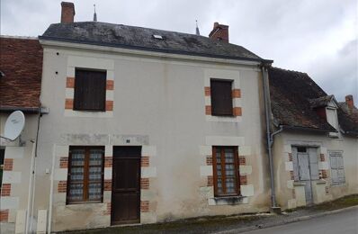 vente maison 66 900 € à proximité de Luçay-le-Mâle (36360)