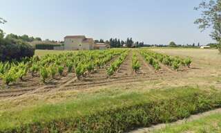 Terrain 550 m² à construire Violès (84150)