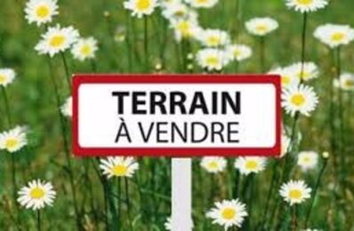 vente terrain 71 500 € à proximité de Liebvillers (25190)