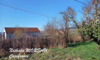 Photo N° 3