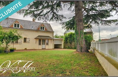 vente maison 92 000 € à proximité de Villiers-Au-Bouin (37330)