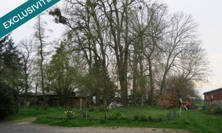 Photo N° 4