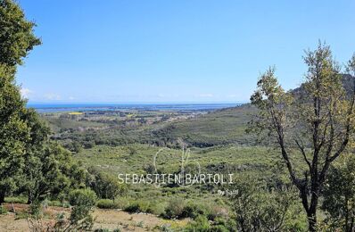 vente terrain 398 000 € à proximité de Poggio-d'Oletta (20232)