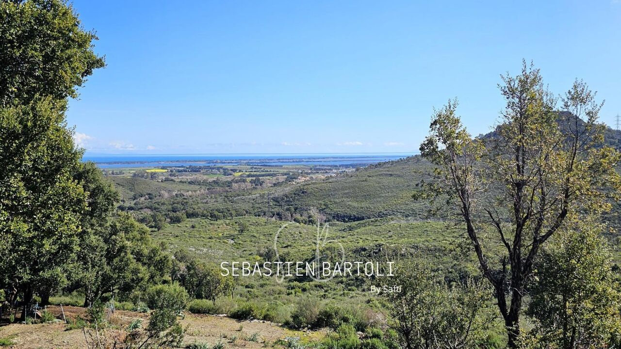 terrain  pièces 2000 m2 à vendre à Biguglia (20620)