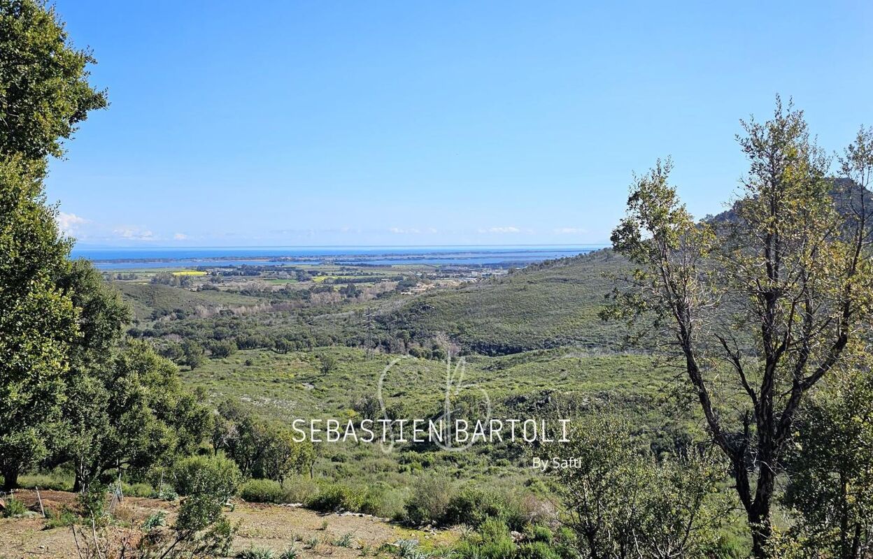 terrain  pièces 2000 m2 à vendre à Biguglia (20620)