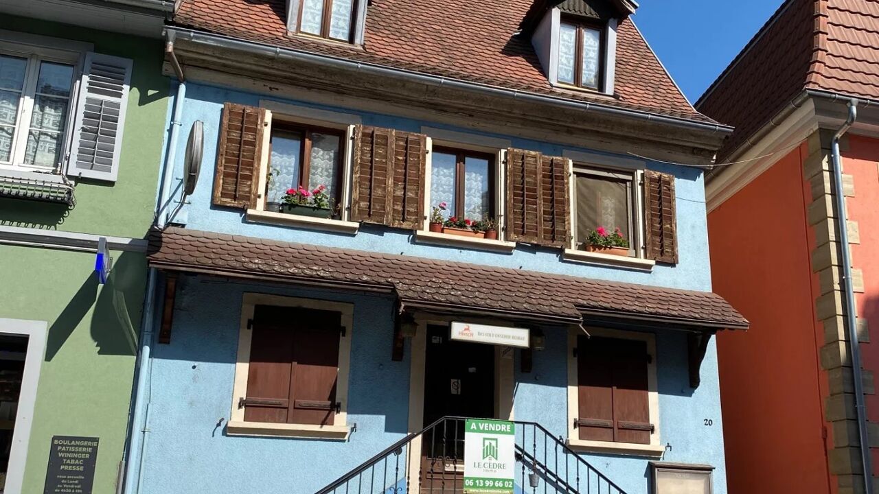 commerce 8 pièces 180 m2 à vendre à Altkirch (68130)