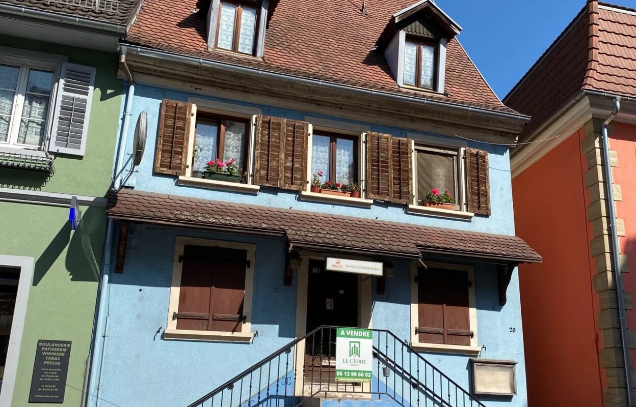 commerce 8 pièces 180 m2 à vendre à Altkirch (68130)