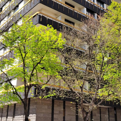 Appartement 4 pièces 299900 €