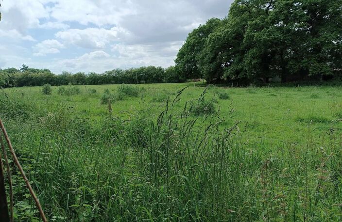 EXCLUSIVITÉ - ENTRE PONTIVY ET LOUDEAC - CORPS DE FERME — photo 3