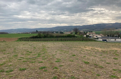 construire terrain 110 000 € à proximité de Roussillon (38150)