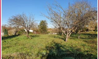 Photo N° 6
