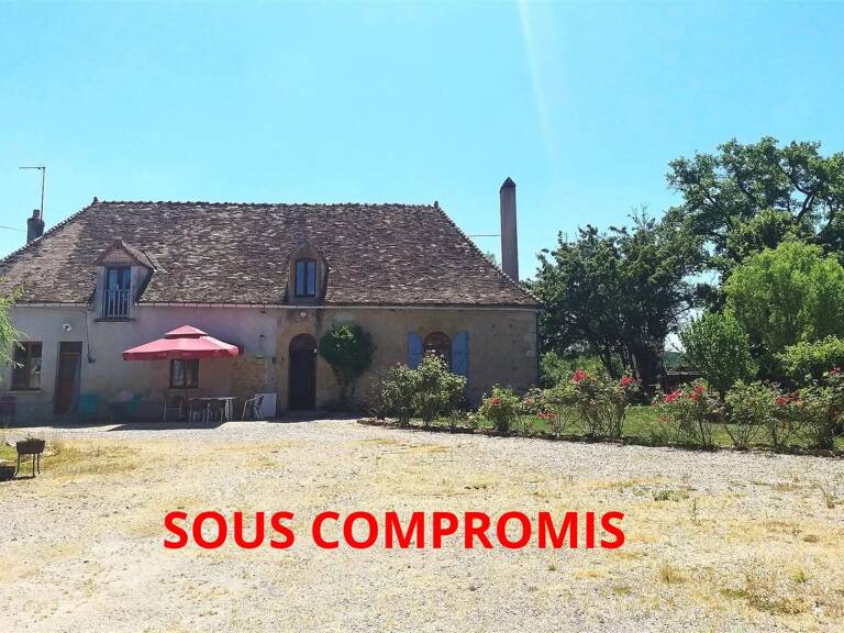 Ferme (domaine) à vendre dans le sud de la Brenne 36 — photo 1