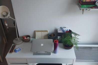 Appartement 1 pièces 519 €