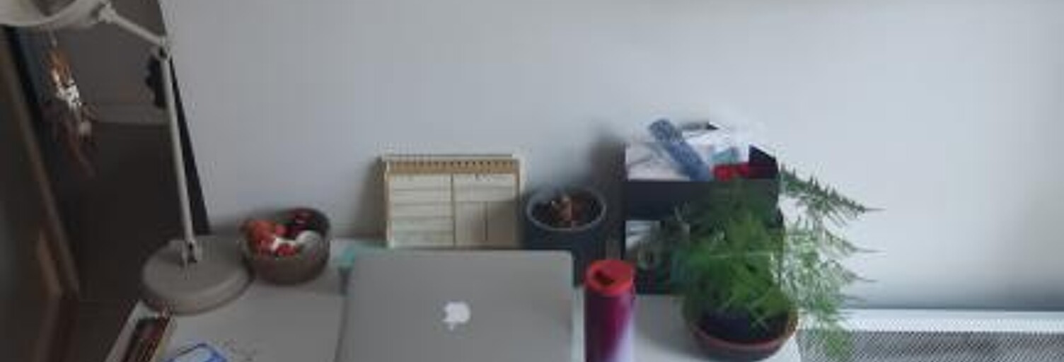 Appartement 1 Pièce 23 m² à louer à Villeurbanne (69100)