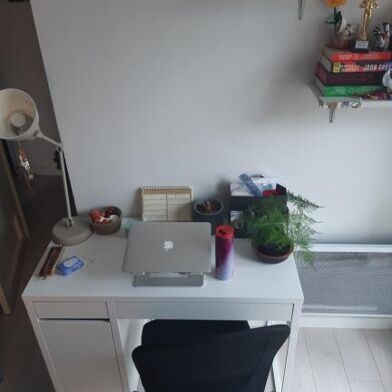 Appartement 1 pièces 519 €