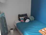 Co-location à Villeurbanne (69100) — photo 2
