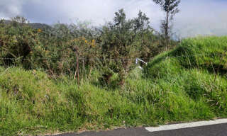 Terrain   m² à vendre à Le Tampon (97430)