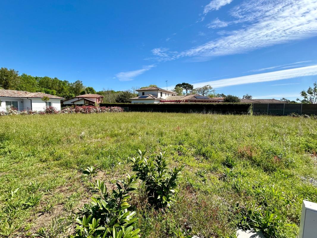 Terrain  à vendre Saubion 40230