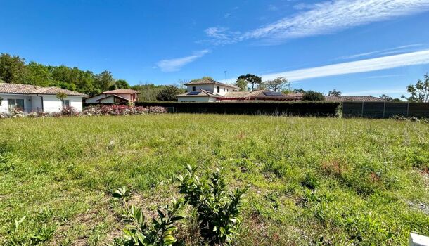 Terrain  à vendre Saubion 40230