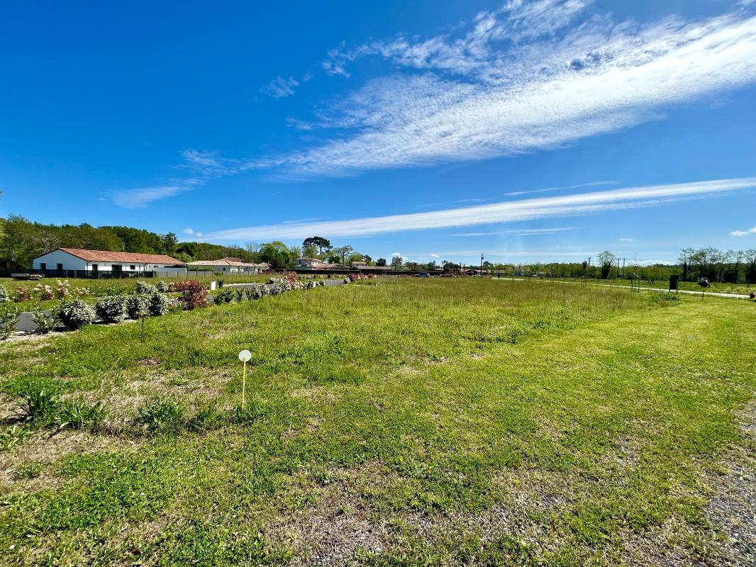 Terrain  à vendre Saubion 40230