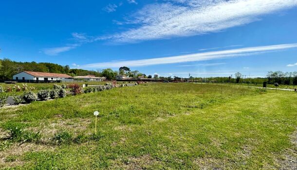 Terrain  à vendre Saubion 40230
