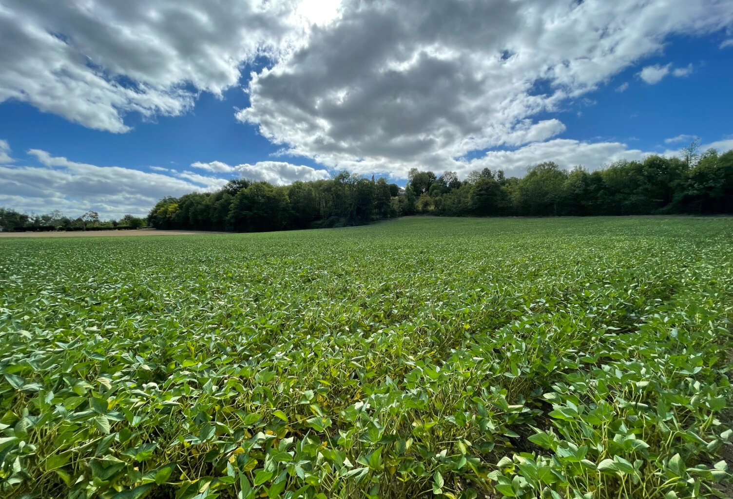Terrain à Bâtir — photo 1