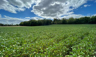 Terrain  19340 m² à vendre à Eymet (24500)