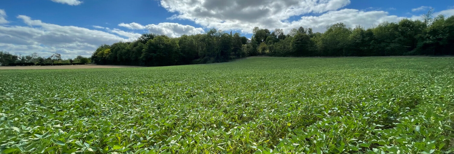 Terrain  19340 m² à vendre à Eymet (24500)