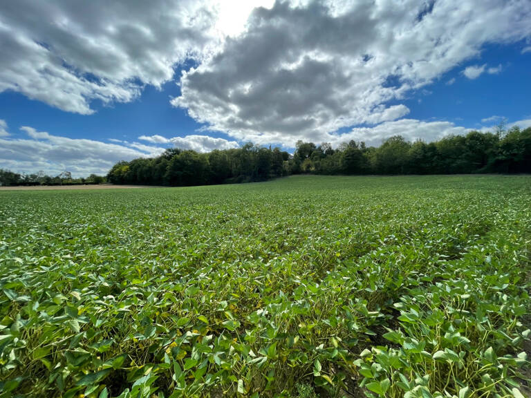 Terrain à Bâtir — photo 1
